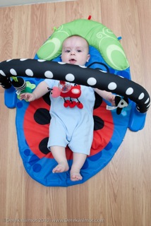 Sassy Stim Gym Infant Play Mat Review
