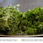 Stop & Shop Kale vs. Farm Stand kale