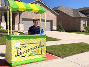 How To Build a Lemonade Stand for Kids With Antsy Pants Playhouse Kits